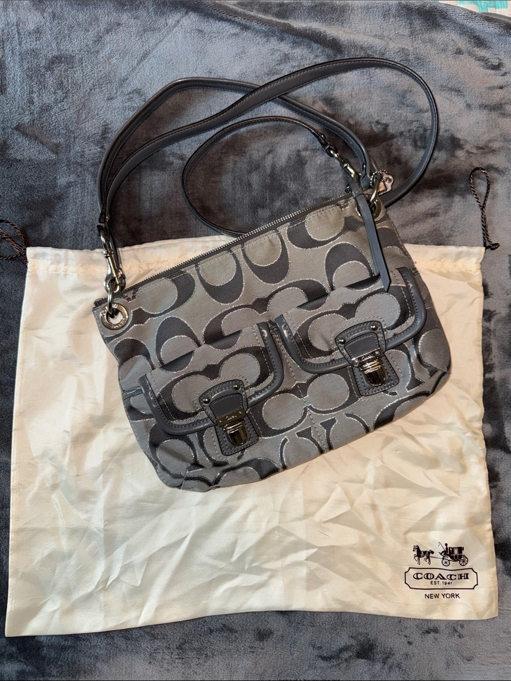 Coach Poppy Metallic Signature Hippie Bag No. G1263-18980 2012